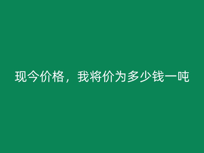 現今價格，我將價為多少錢一噸