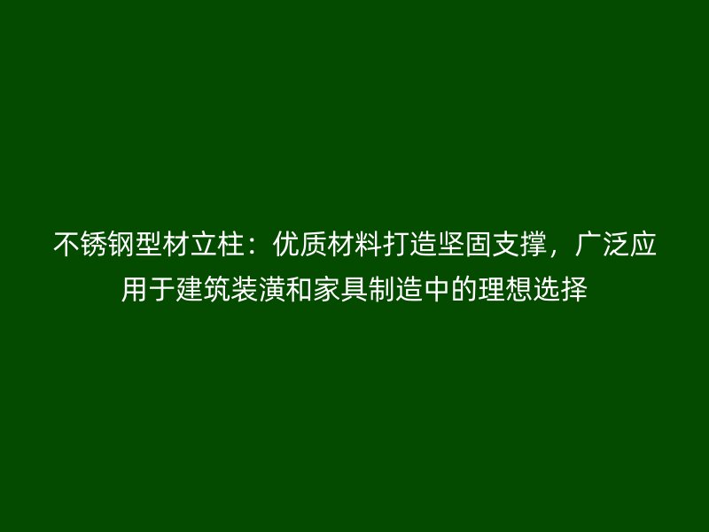 不銹鋼型材立柱：優質材料打造堅固支撐，廣泛應用于建筑裝潢和家具制造中的理想選擇
